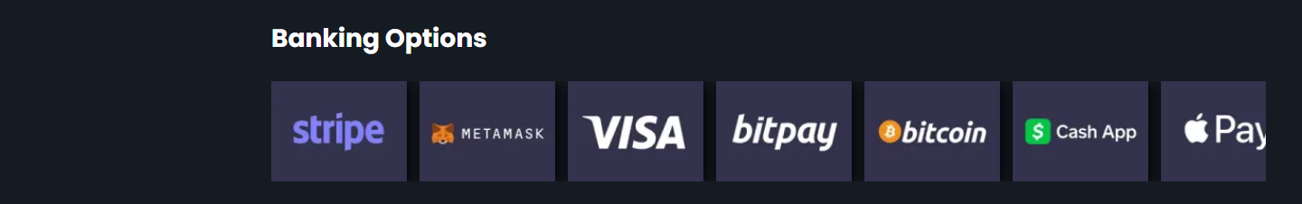 "Banking Options" -logorivi rocky.casinossa: rivi maksulogoja otsikon alla ilman tekstiä